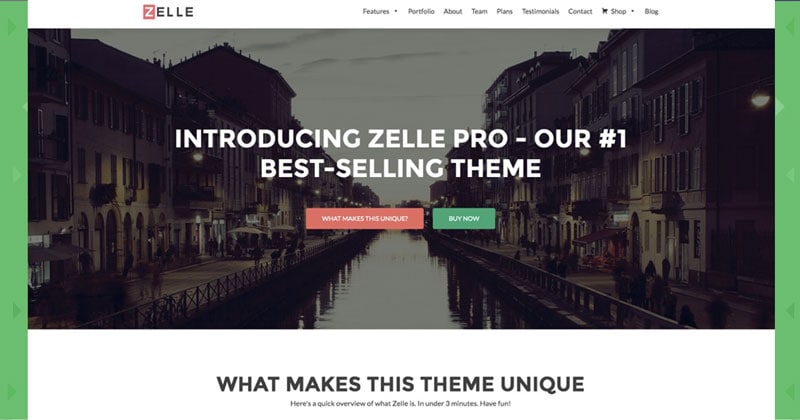 zelle-pro