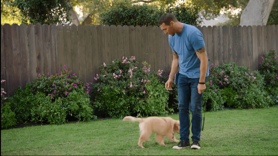 Brandon McMillan Dog Training Masterclass