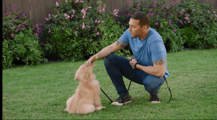 Brandon McMillan Dog Training Masterclass Review- Prepare To Self