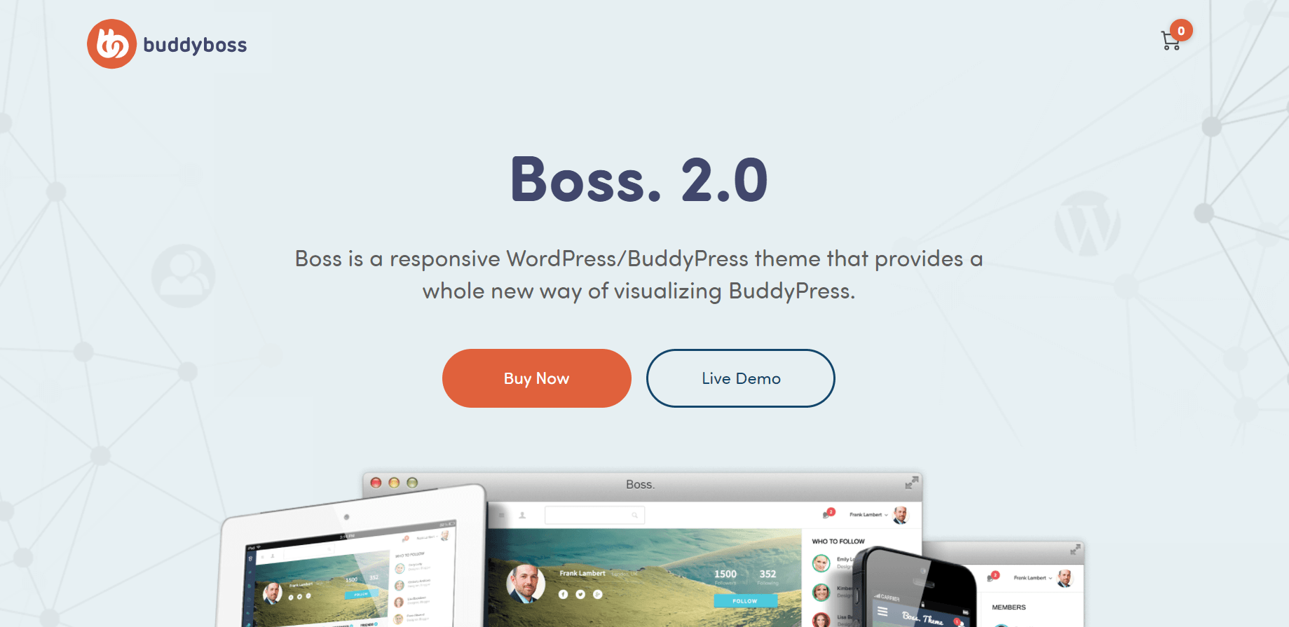 Best BuddyBoss Themes-Boss 2.0 Theme- Info Page