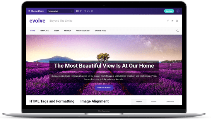 Free BuddyPress Themes-Evolve Theme-Overview