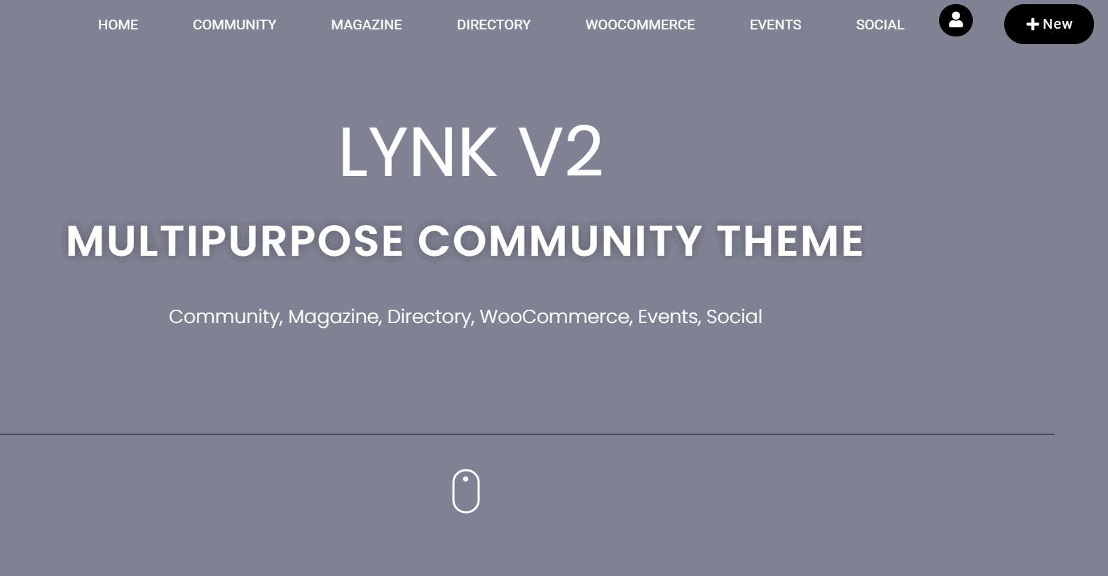 Lynk Theme-Info Page