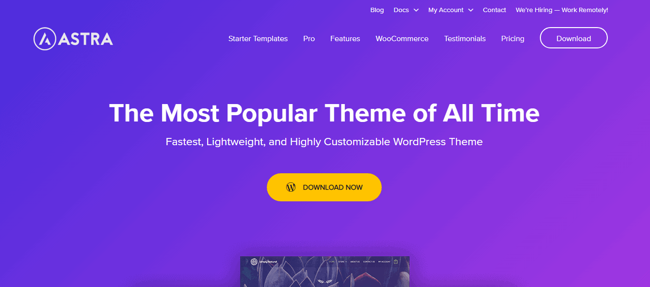 Astra Theme - Premium Blogging WordPress Themes