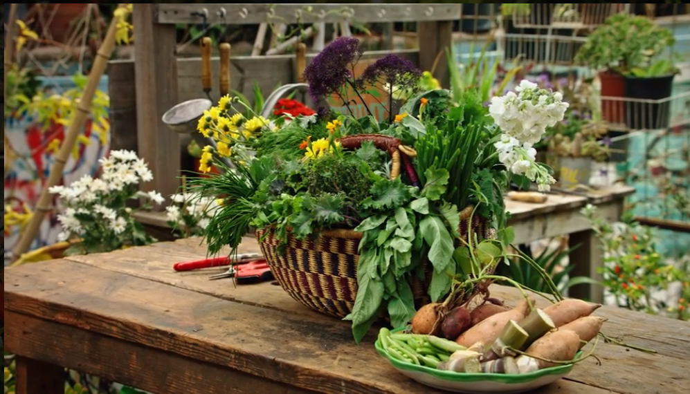 MasterClass-Ron-Finley-Teaches-Gardening - Vegetable