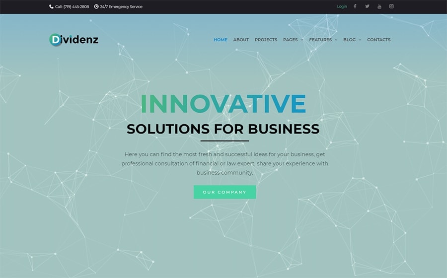 Dividenz - Best WordPress Themes For Non-Techies