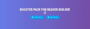 Beaver Builder Booster Review