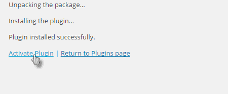 activate plugin