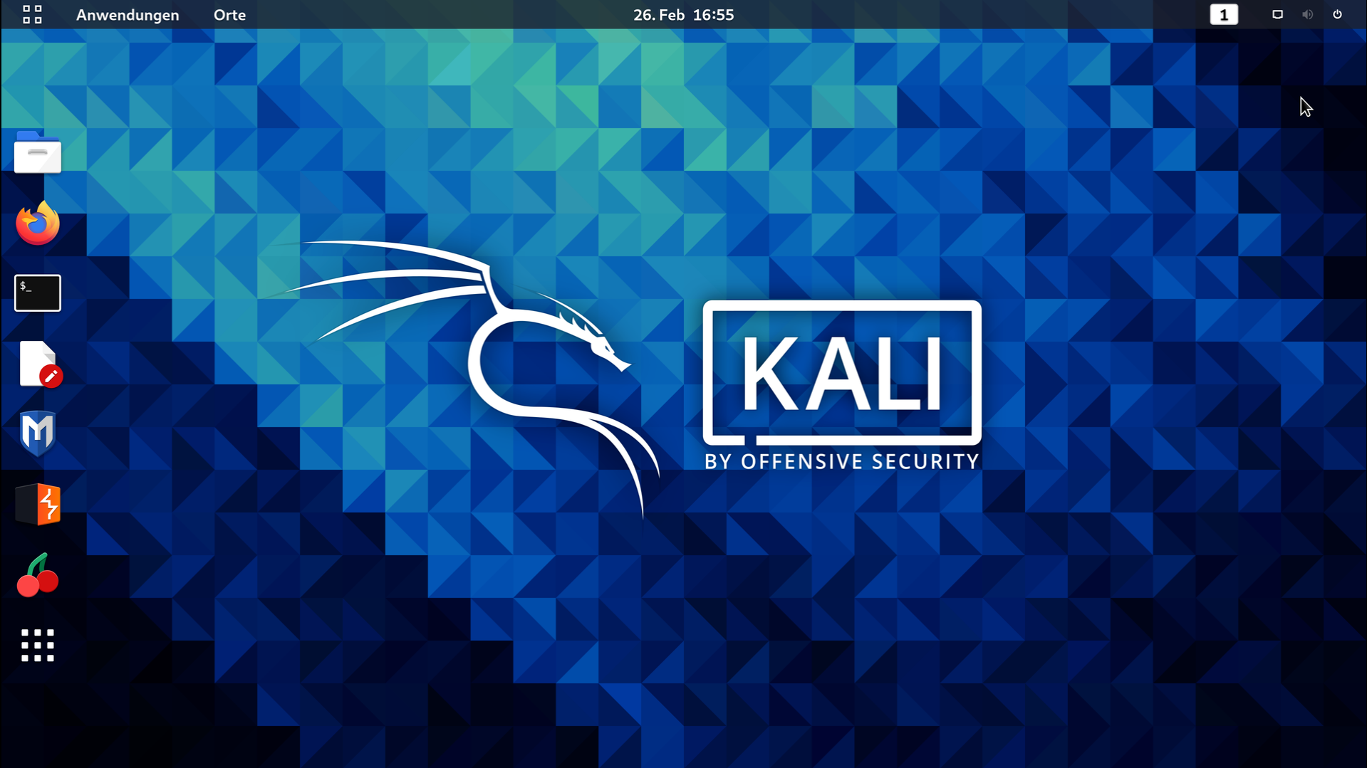 kali linux