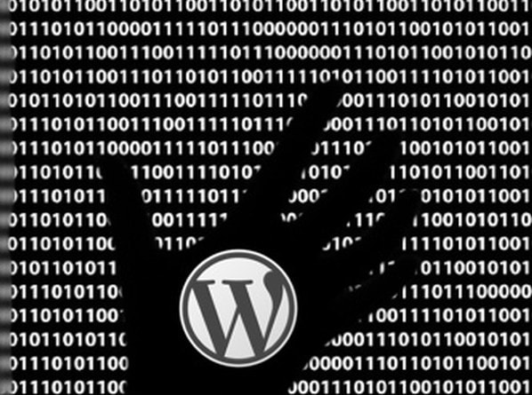 wordpress vulnerabilities