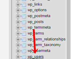 wp_users