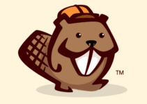 Beaver Builder Not Working 2023: How To Resolve Issues Related To Beaver Builder Plugin?