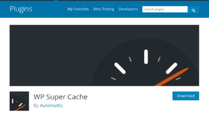 Cache WordPress Plugin