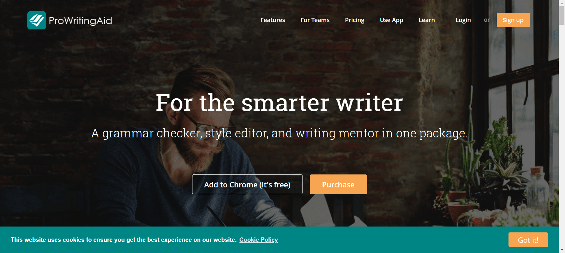 ProWritingAid- best writing punctuation tools