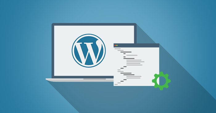 How to Optimize the Performance of Your WordPress Theme and Website