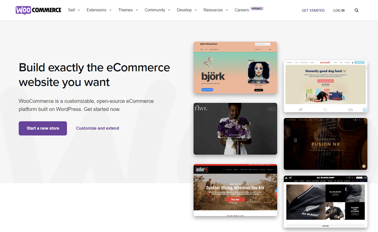WooCommerce Main - Best Shopify Alternatives