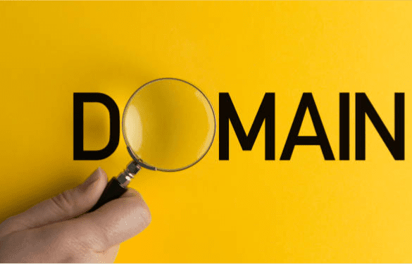 What is a Domain Name?