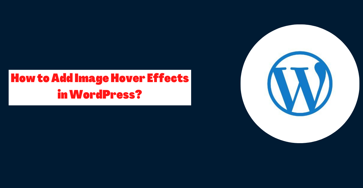 How to Add Image Hover Effects in WordPress