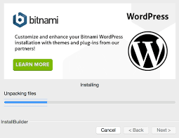 WordPress bitnami installation process