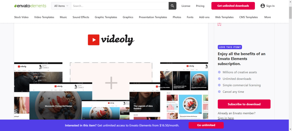 videoly pro- best video wordpress themes