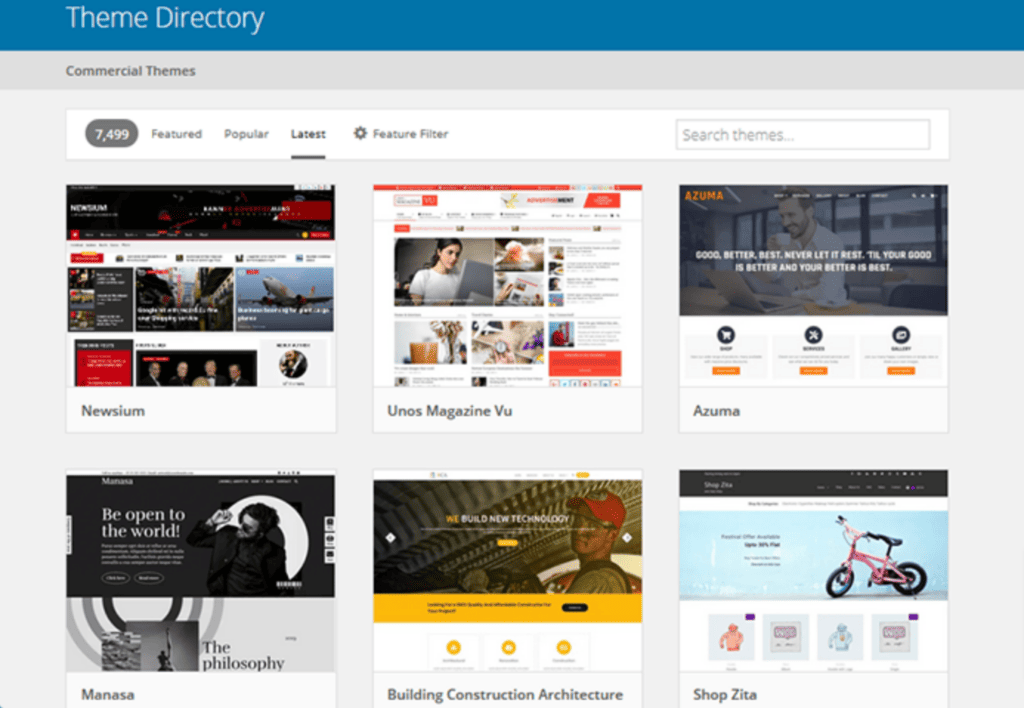 WordPress Theme