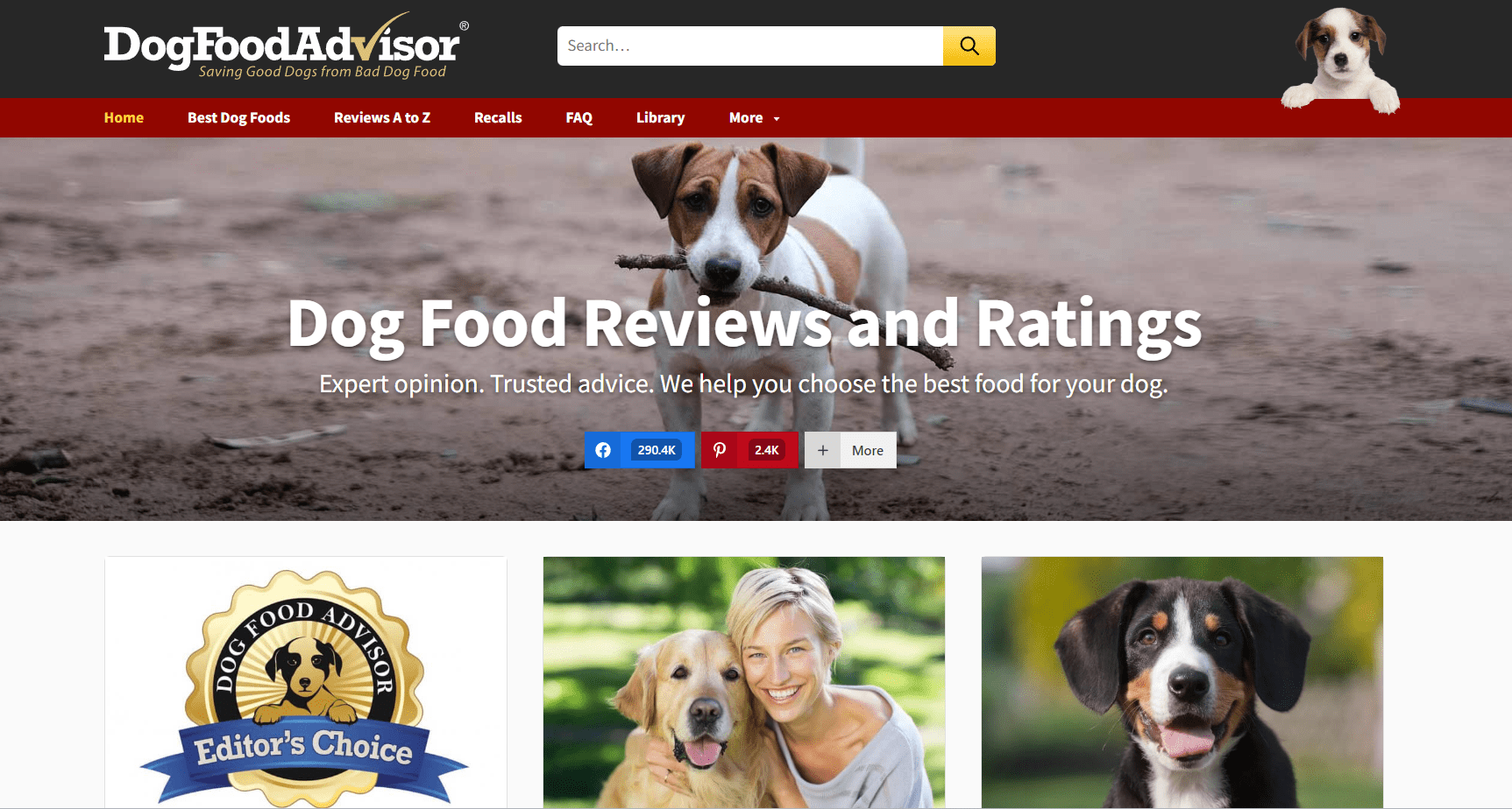 Dog Food Advisor Overview
