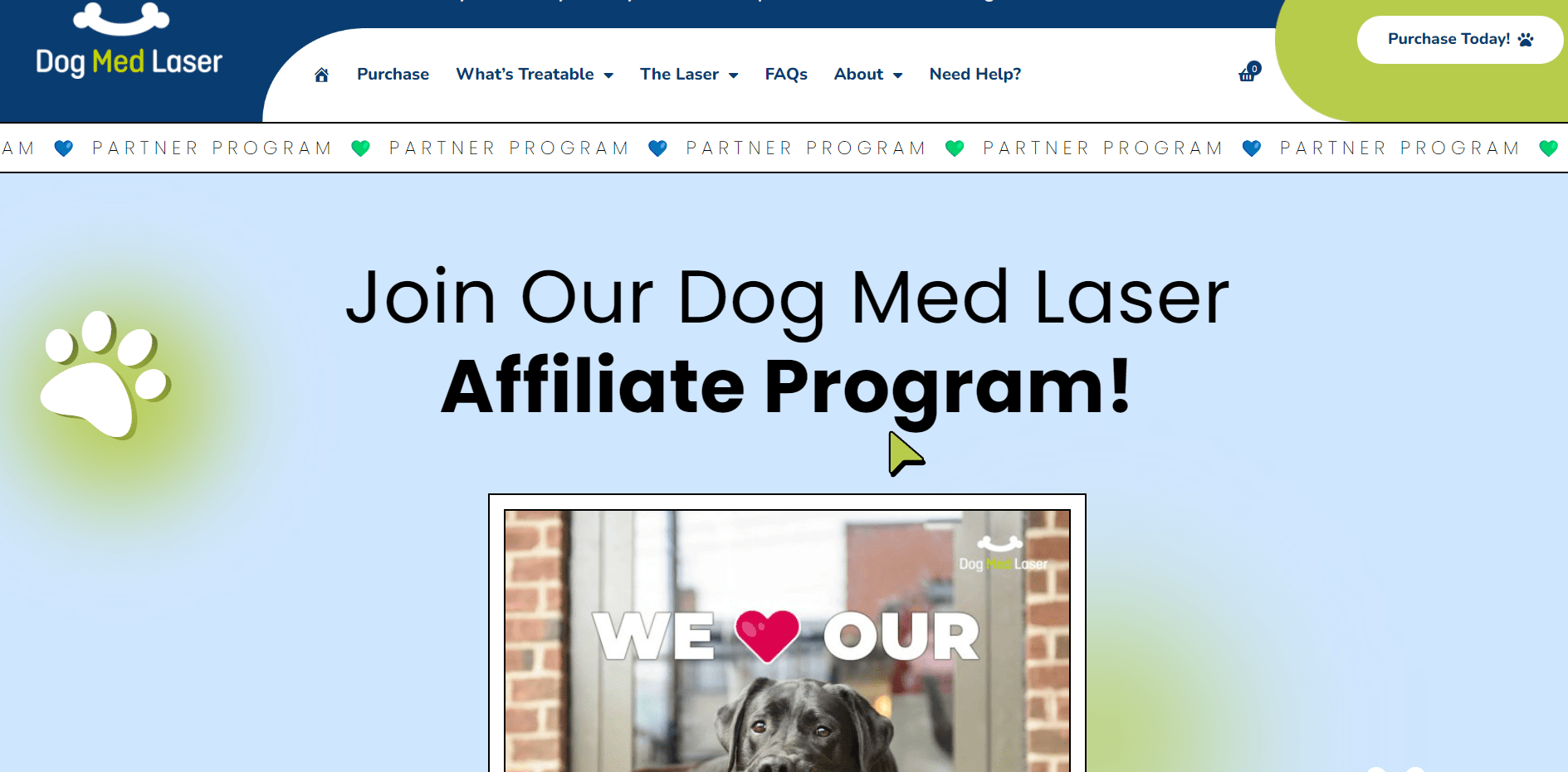DogMed Laser- Best Pet Affiliate Programs