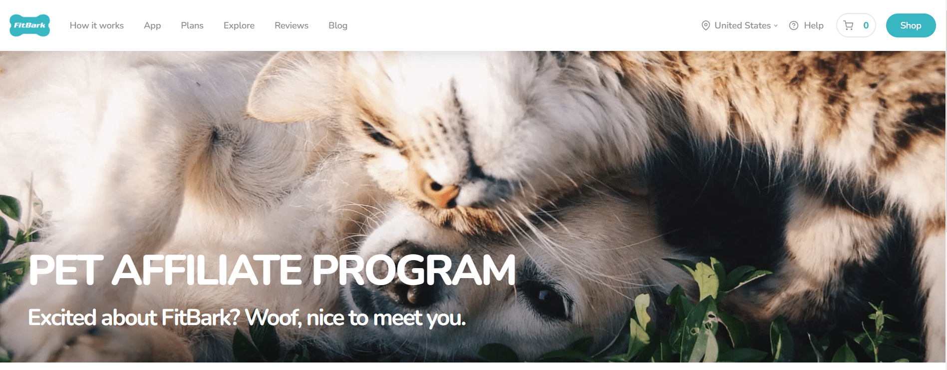 FitBark- Best Pet Affiliate Programs
