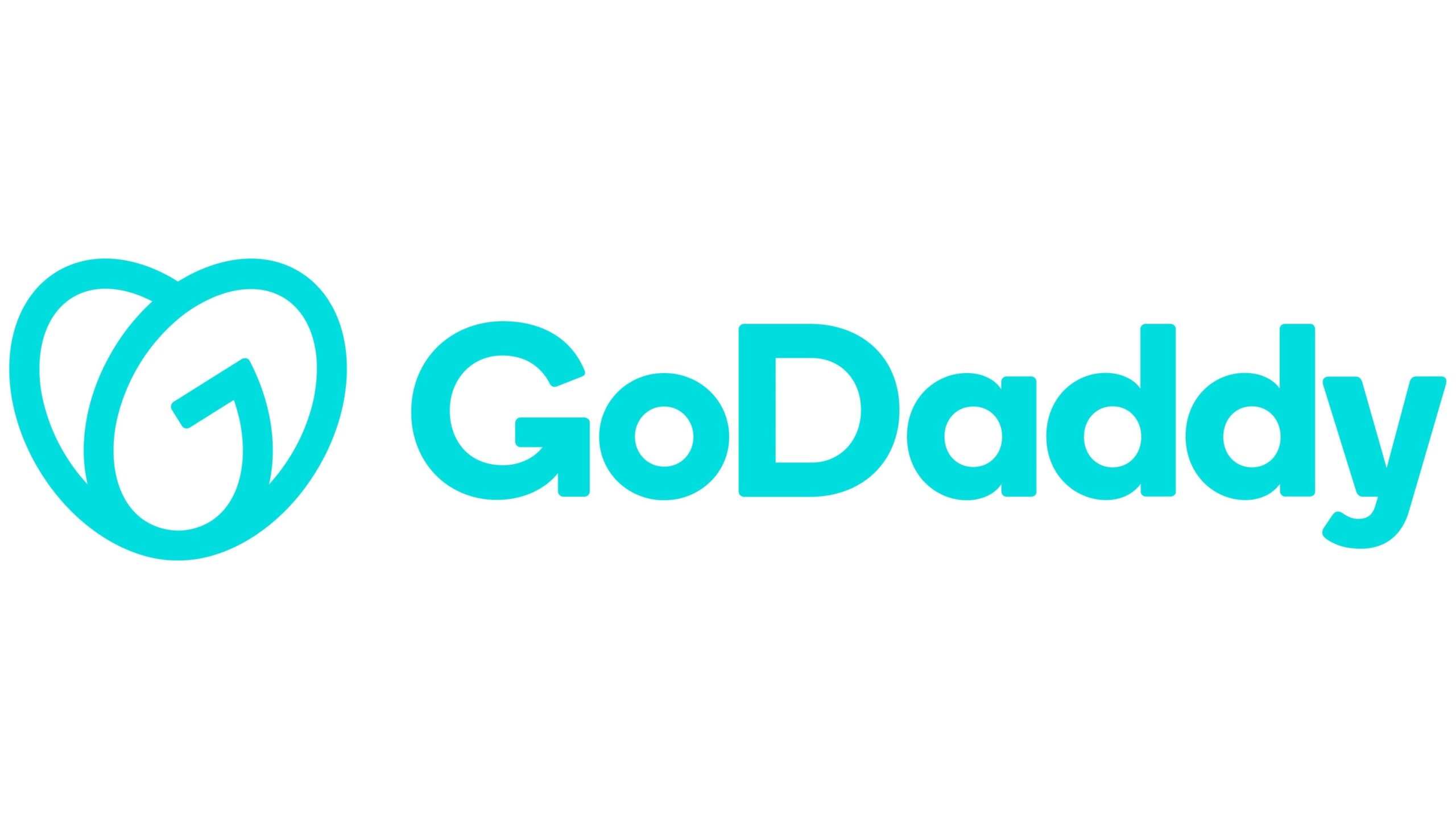 에서 GoDaddy